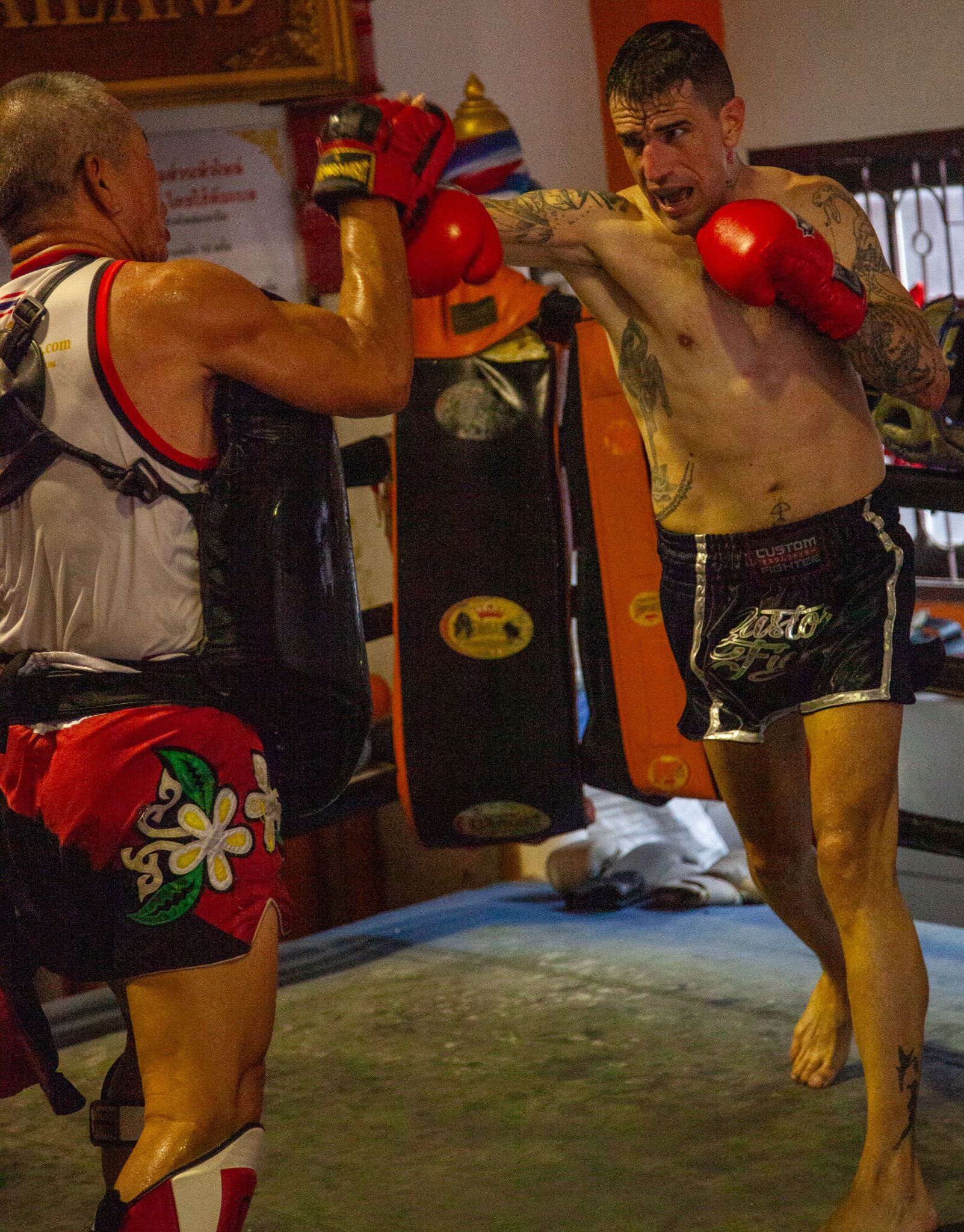 MIKEL FERNÁNDEZ CÍA