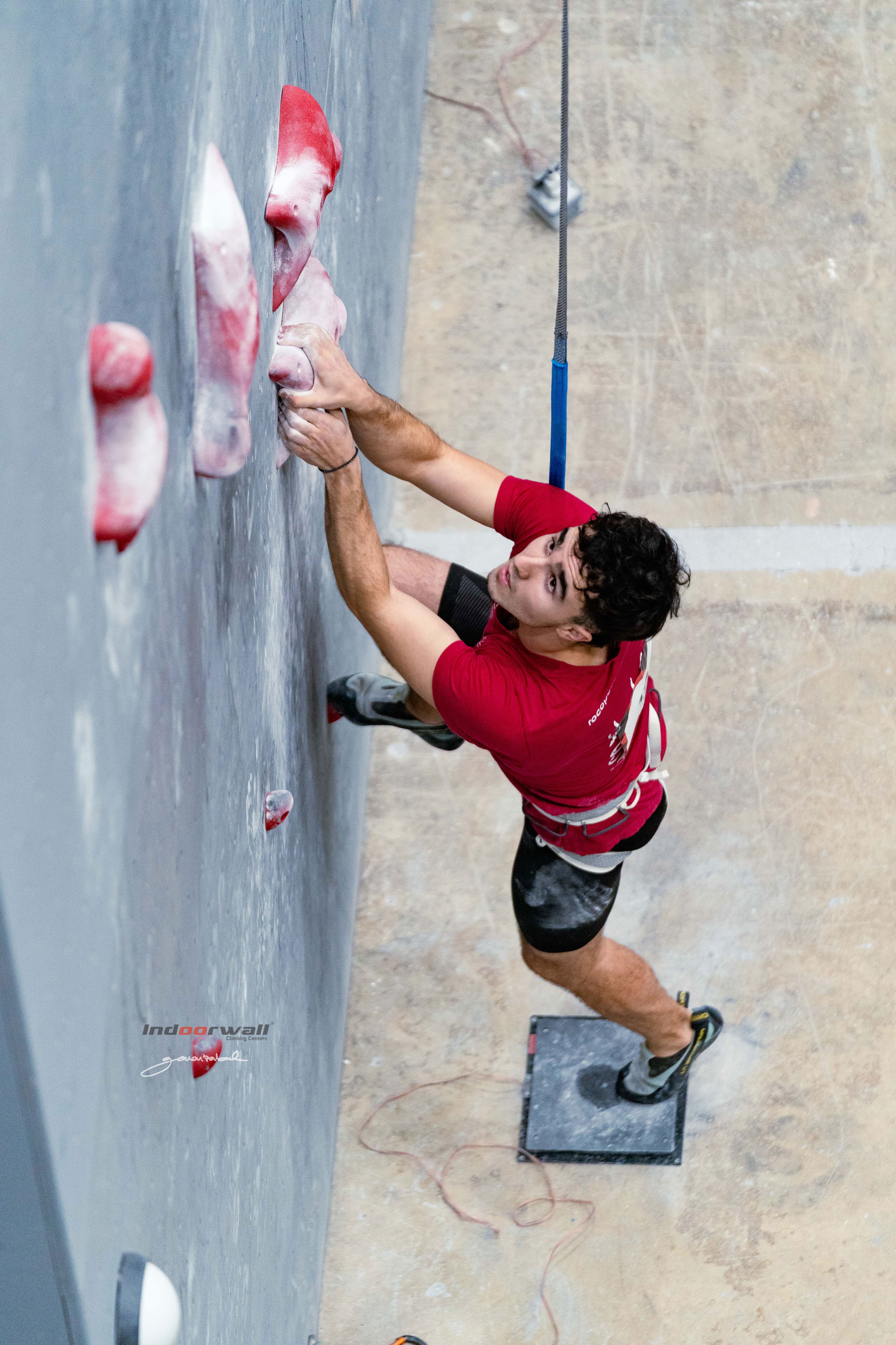 UNAX UTERGA FLAMARIQUE