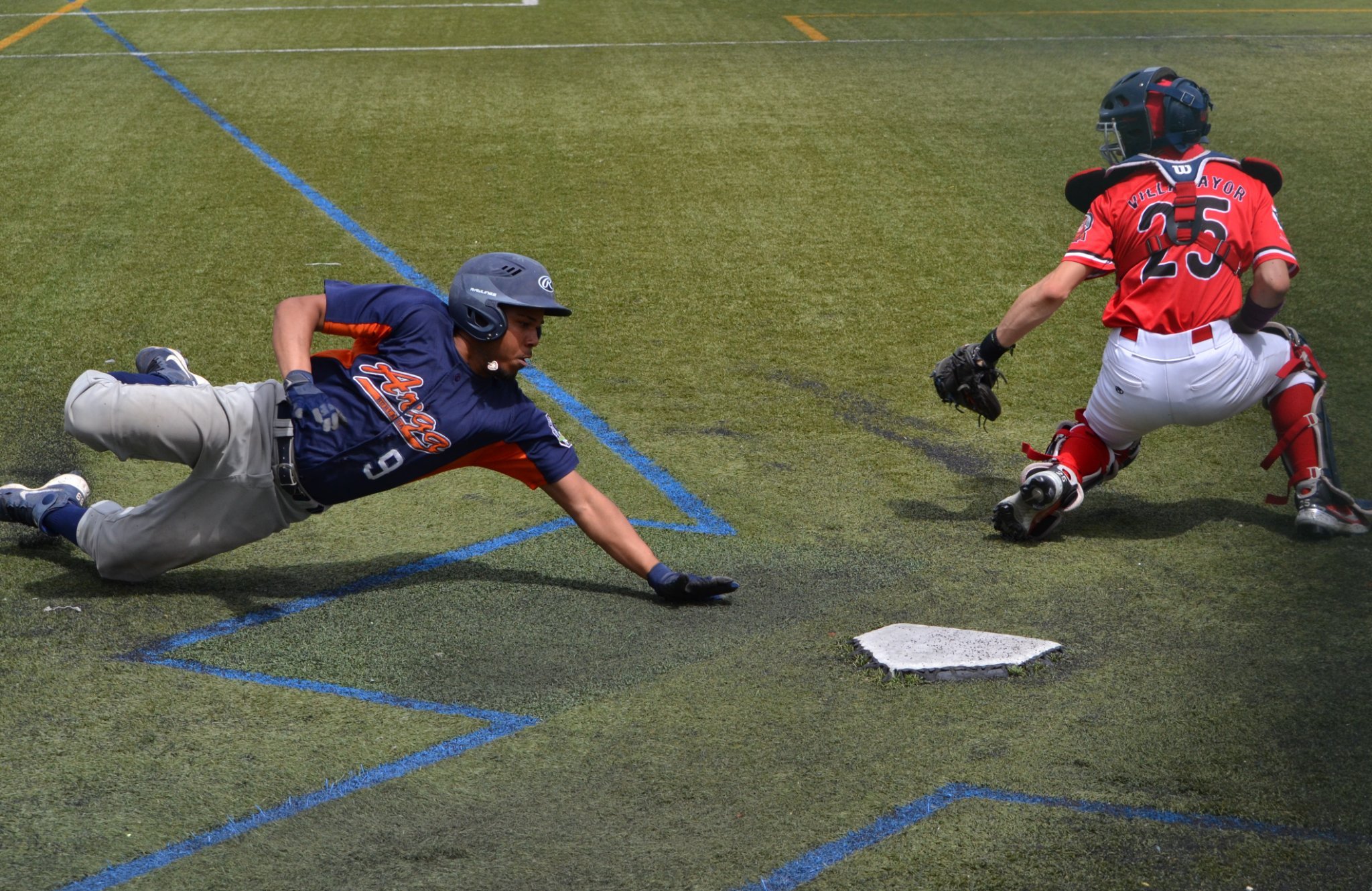 Federación Navarra de Béisbol y Sófbol: tres campeonatos de España