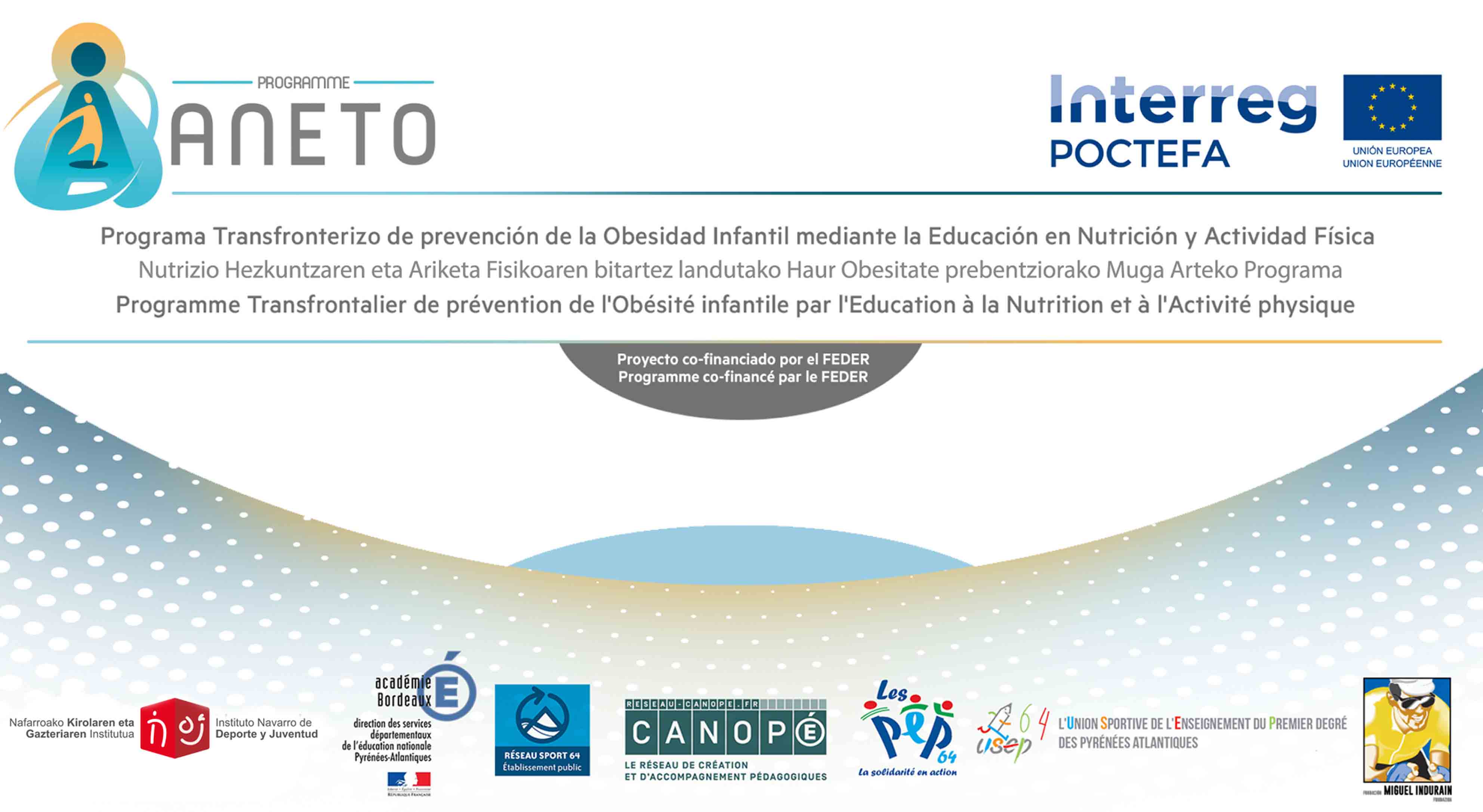 Licitación relacionada con el Proyecto Aneto