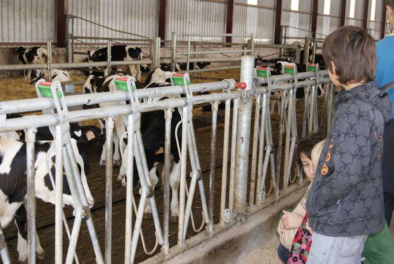 Jornada 15 Octubre 2011 - 47