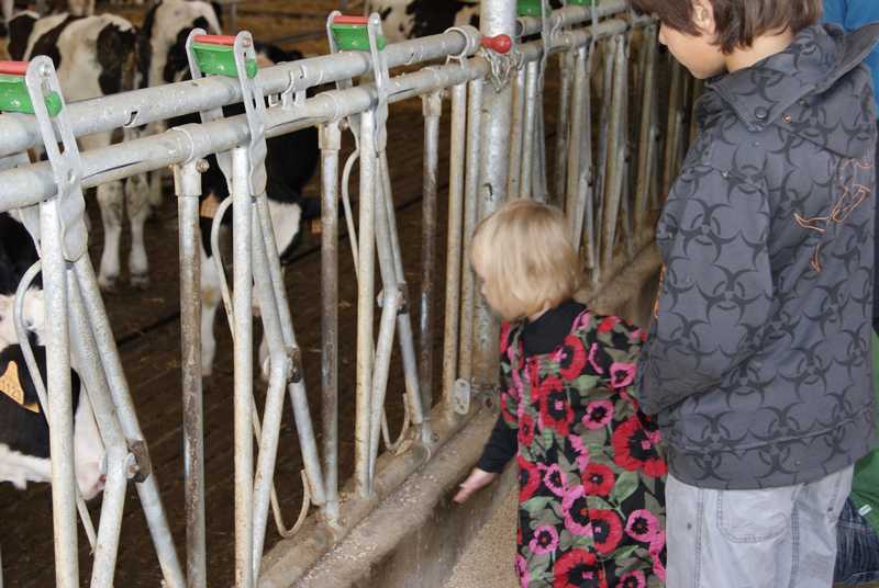 Jornada 15 Octubre 2011 - 48