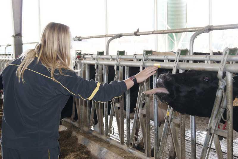 Jornada 15 Octubre 2011 - 56