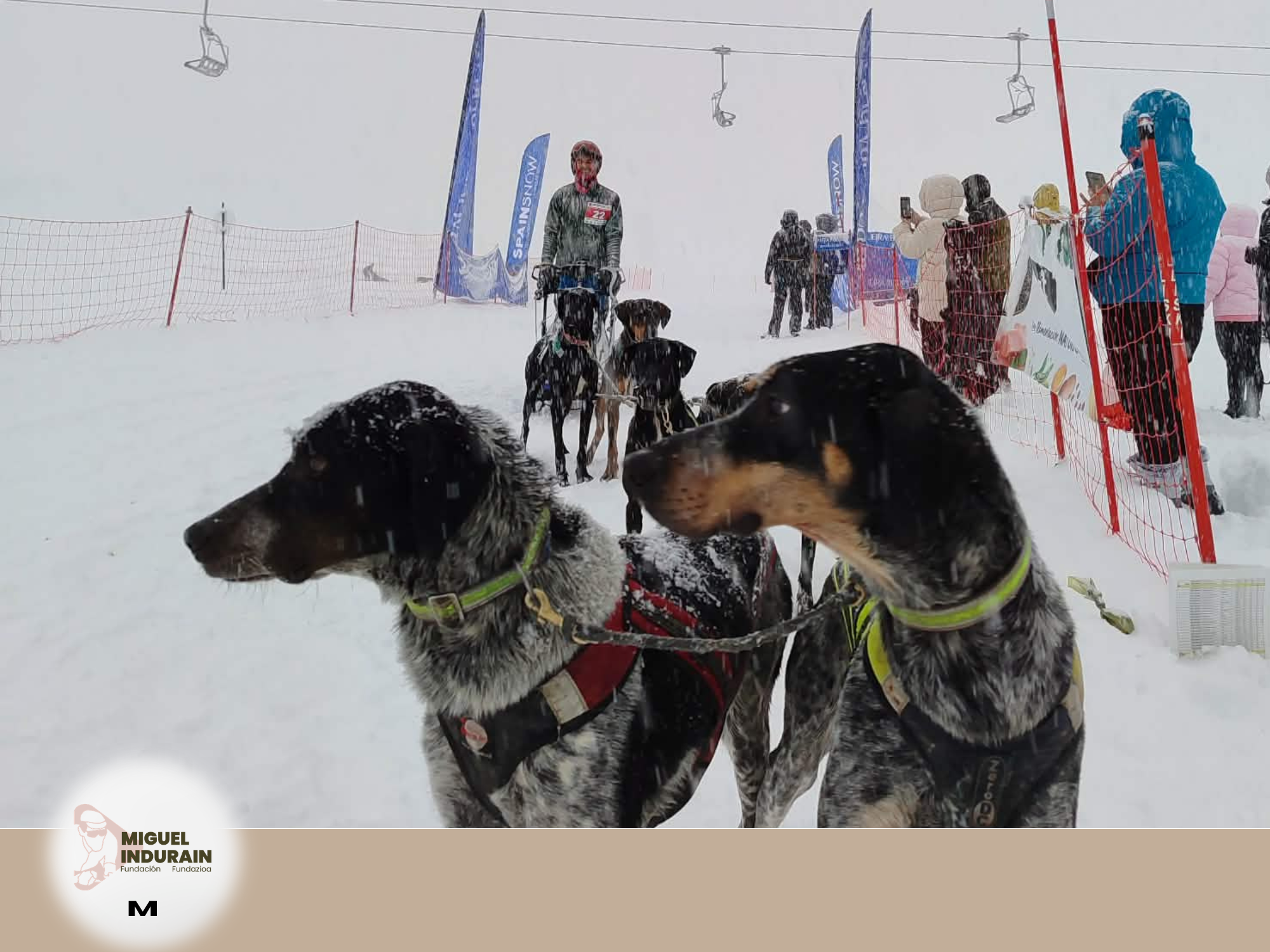 Francisco Javier Alemanno Sánchez, subcampeón de España en trineo SP6 - Imagen 2
