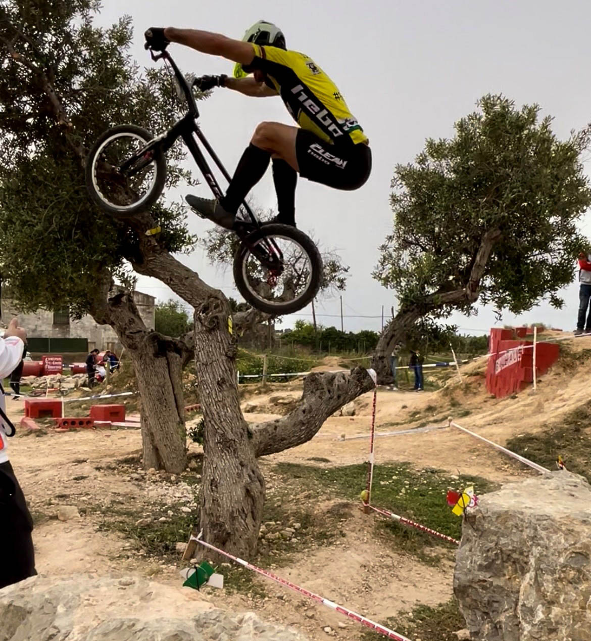 BENITO JOSÉ ROS CHARRAL